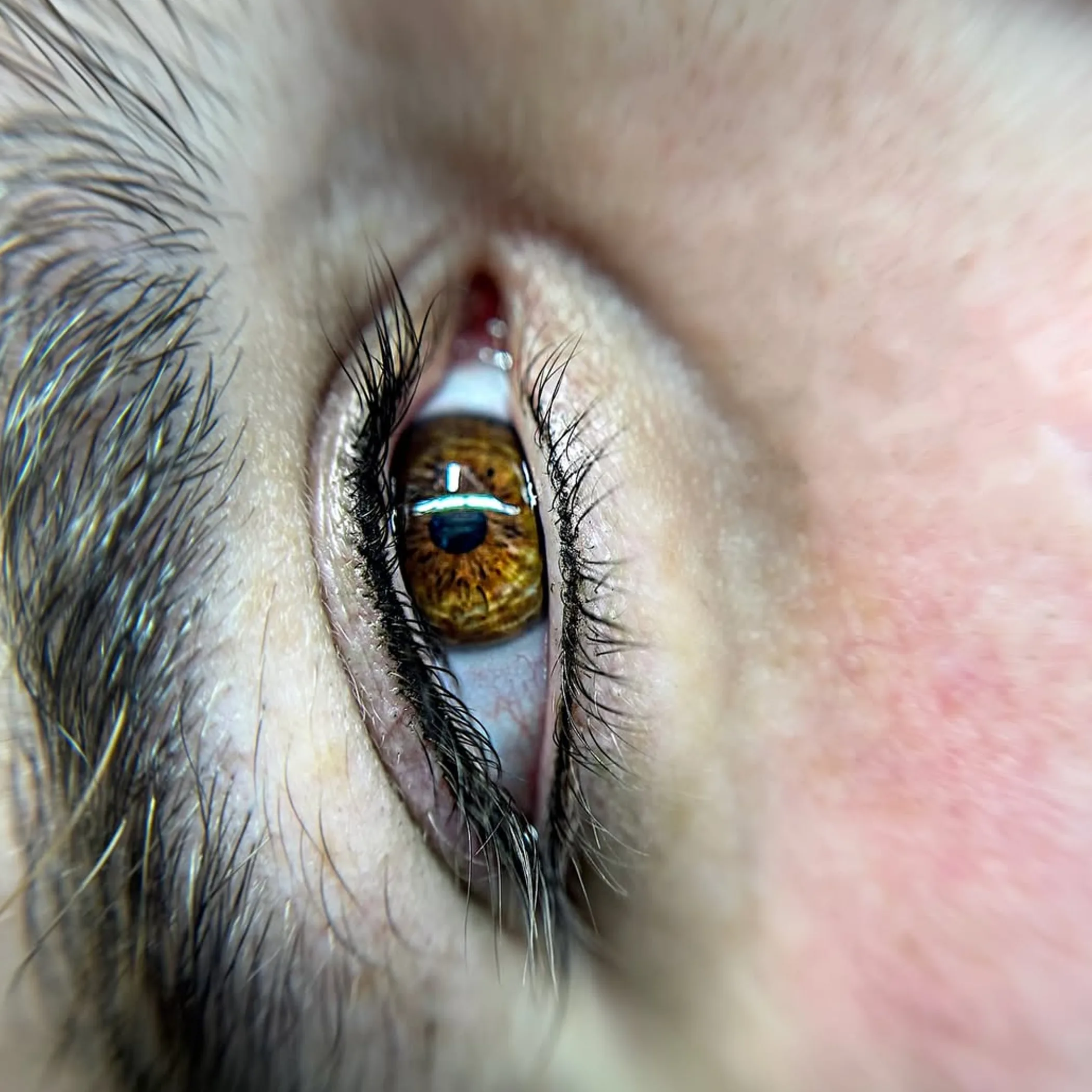 men before and after natural lash tattoo results